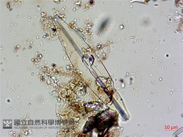 登錄號:A00004597藏品圖，第4張