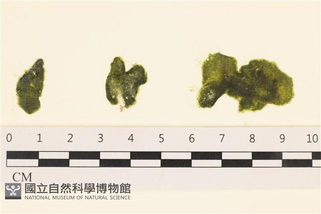 登錄號:A00005597藏品圖，第1張