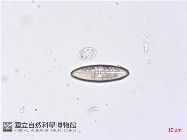 登錄號:A00004497藏品圖，第4張