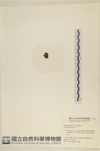 登錄號:A00004997藏品圖，第3張