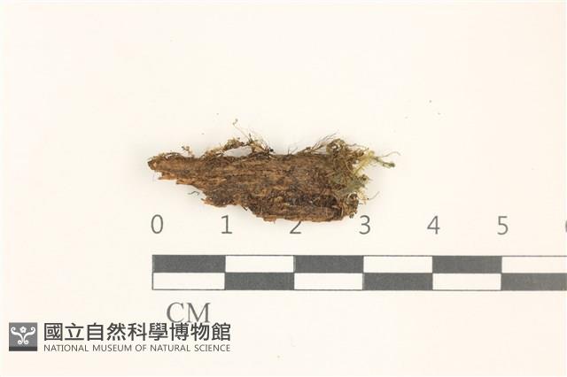 登錄號:B00019397藏品圖，第1張