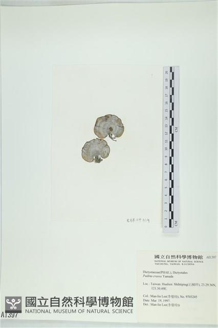 登錄號:A00001397藏品圖，第3張