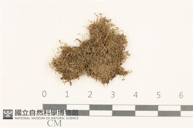 登錄號:B00019797藏品圖，第1張