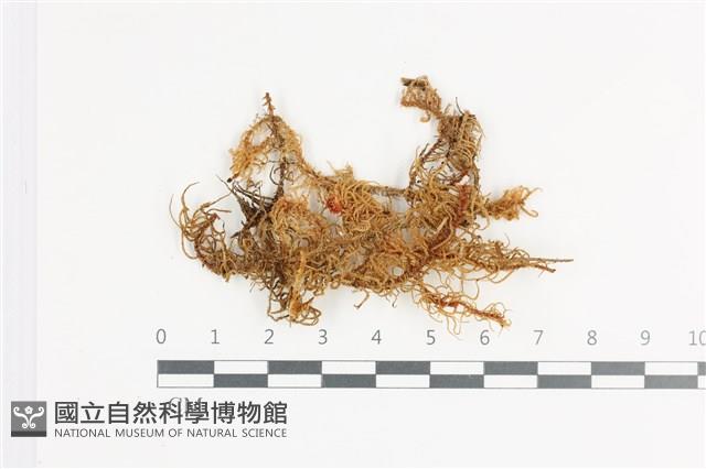 登錄號:B00018647藏品圖，第1張