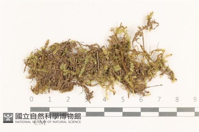 登錄號:B00014647藏品圖，第1張