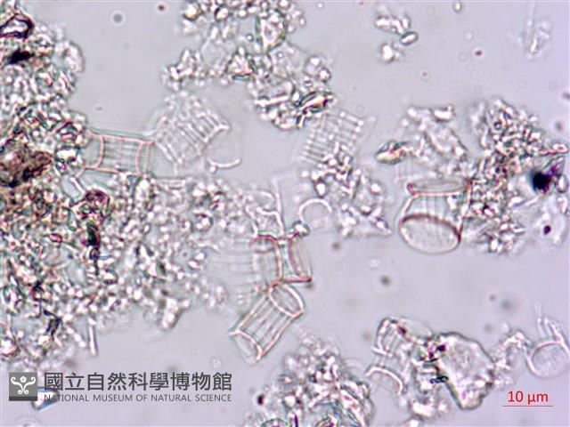 登錄號:A00004647藏品圖，第4張
