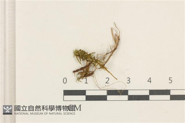登錄號:B00017647藏品圖，第1張
