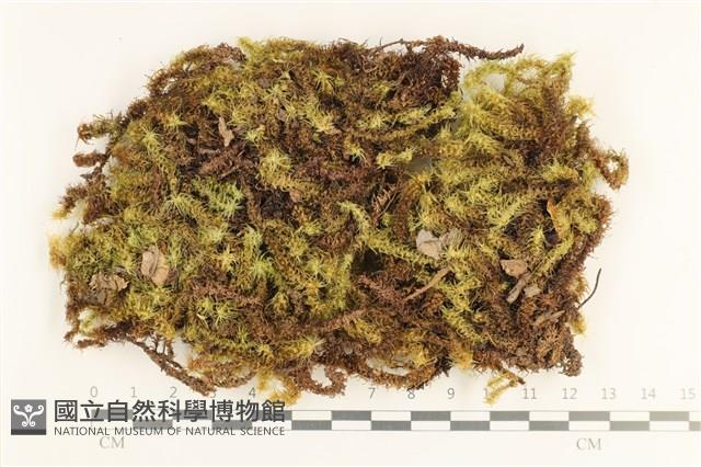 登錄號:B00006047藏品圖，第1張