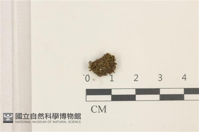 登錄號:B00014047藏品圖，第1張