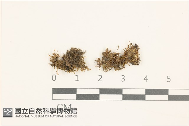登錄號:B00005047藏品圖，第1張