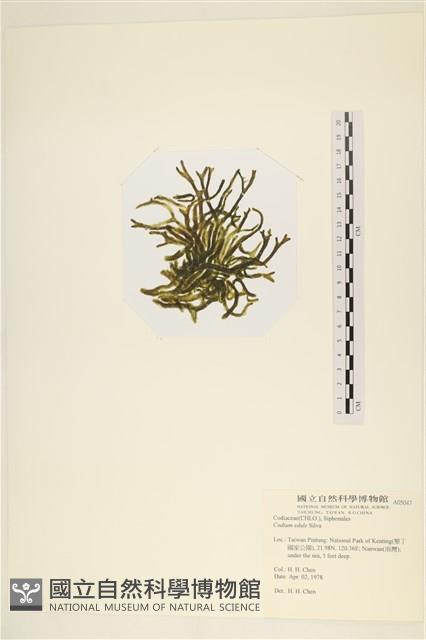 登錄號:A00005047藏品圖，第3張