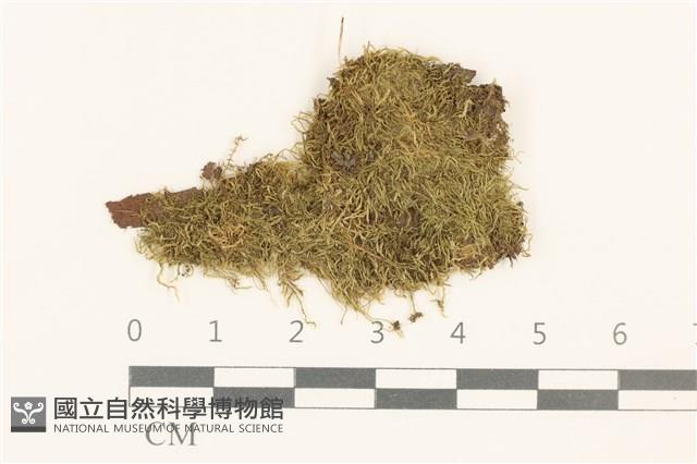 登錄號:B00015147藏品圖，第1張