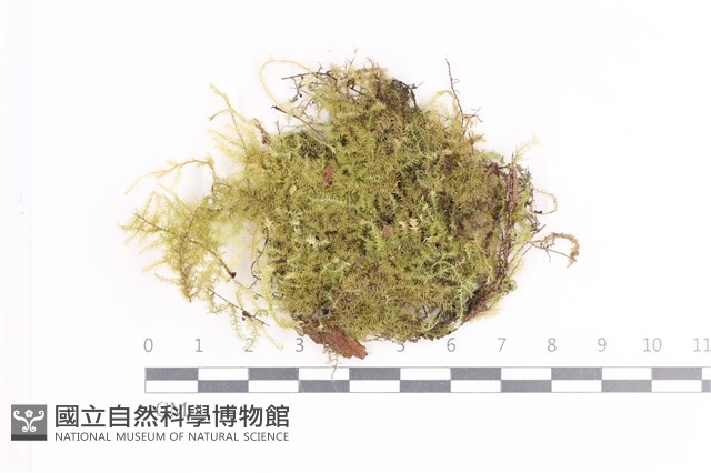 登錄號:B00000547藏品圖，第1張
