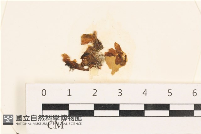 登錄號:A00002447藏品圖，第1張