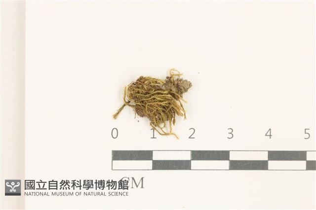 登錄號:B00014447藏品圖，第1張