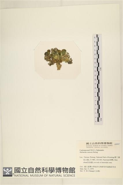 登錄號:A00004947藏品圖，第3張