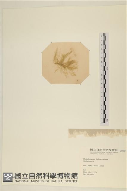 登錄號:A00003947藏品圖，第3張