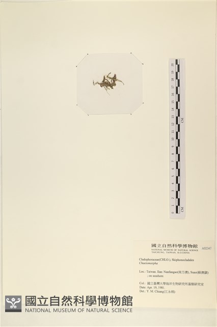 登錄號:A00002347藏品圖，第3張