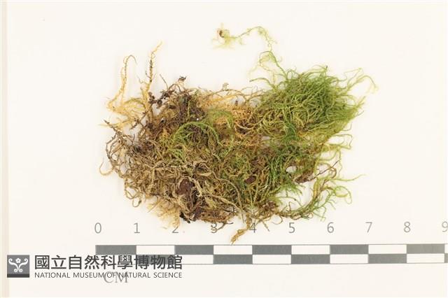 登錄號:B00020347藏品圖，第1張