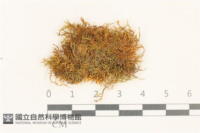 登錄號:B00018667藏品圖，第1張