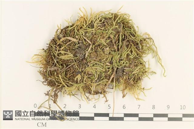 登錄號:B00013267藏品圖，第1張