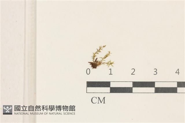 登錄號:B00004567藏品圖，第1張