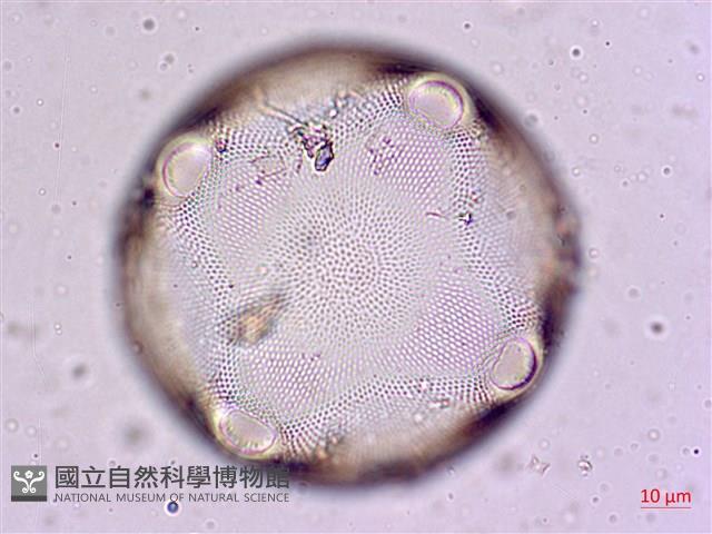 登錄號:A00004567藏品圖，第4張