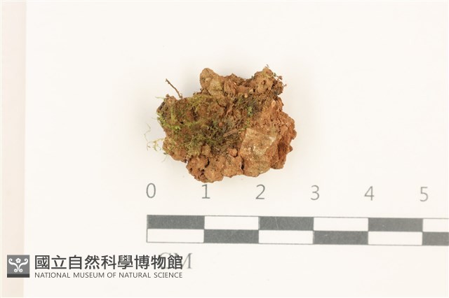 登錄號:B00012467藏品圖，第1張