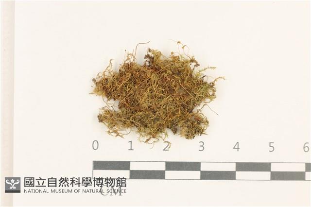 登錄號:B00014467藏品圖，第1張