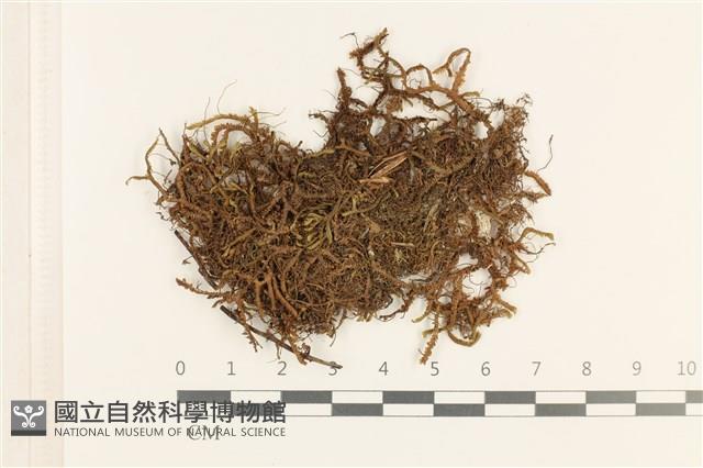 登錄號:B00021467藏品圖，第1張