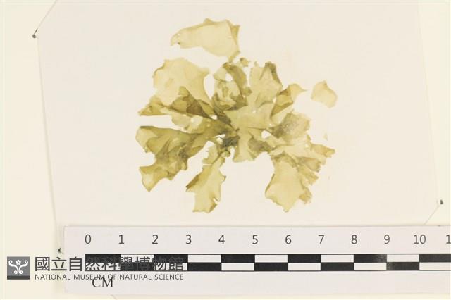 登錄號:A00003467藏品圖，第1張