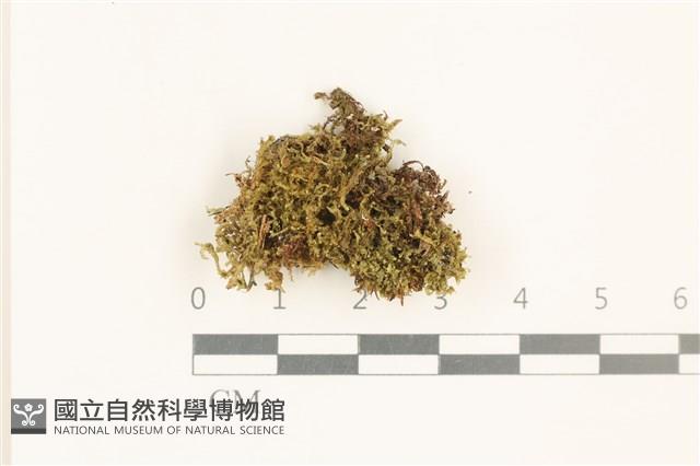 登錄號:B00017767藏品圖，第1張