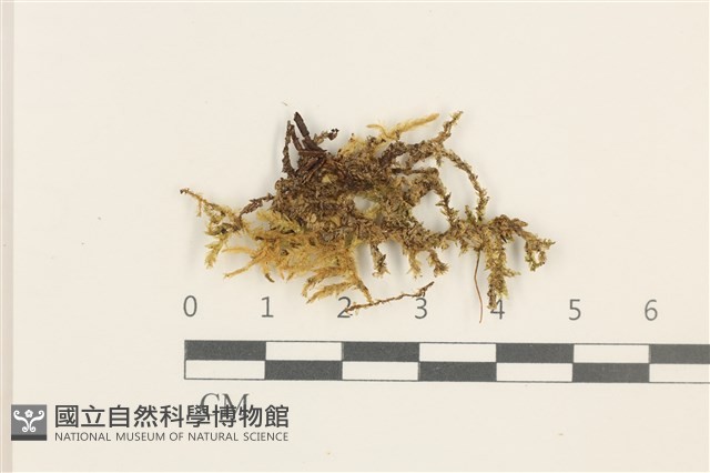 登錄號:B00009607藏品圖，第1張