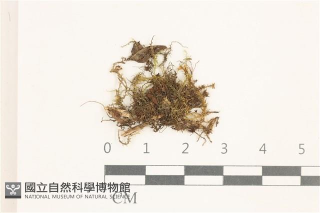 登錄號:B00014607藏品圖，第1張