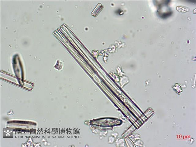 登錄號:A00004607藏品圖，第4張