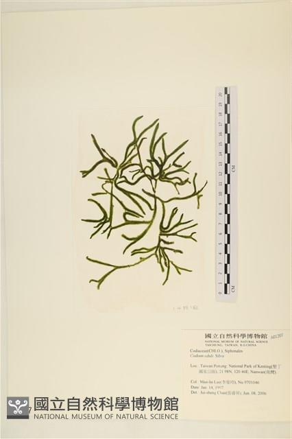 登錄號:A00001207藏品圖，第1張