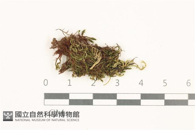 登錄號:B00020207藏品圖，第1張
