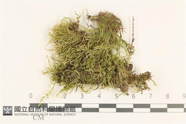 登錄號:B00013207藏品圖，第1張