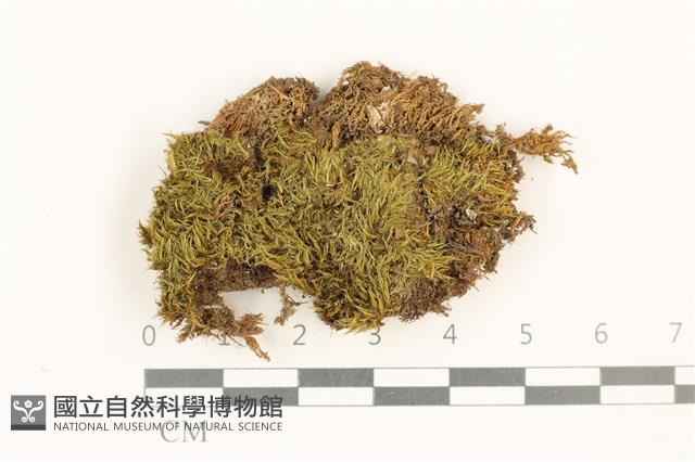 登錄號:B00011007藏品圖，第1張