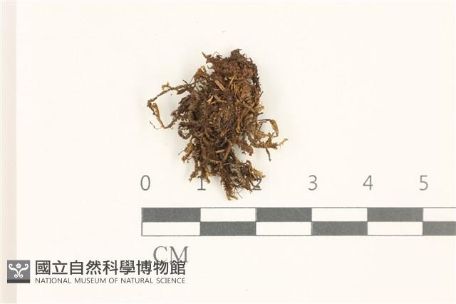 登錄號:B00002407藏品圖，第1張