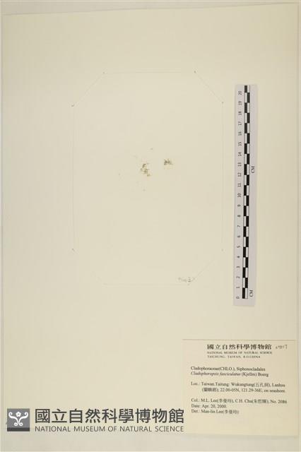 登錄號:A00007807藏品圖，第3張