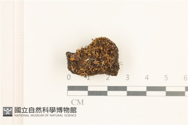 登錄號:B00016707藏品圖，第1張