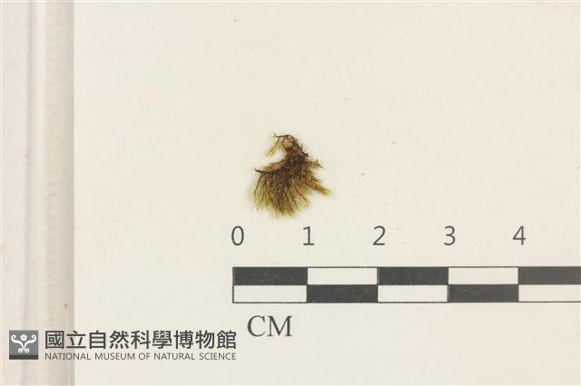 登錄號:B00021707藏品圖，第1張