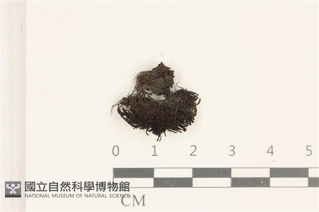 登錄號:B00004687藏品圖，第1張