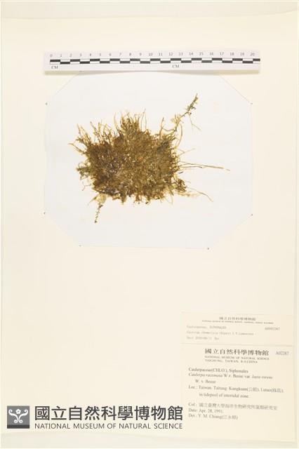 登錄號:A00002287藏品圖，第1張