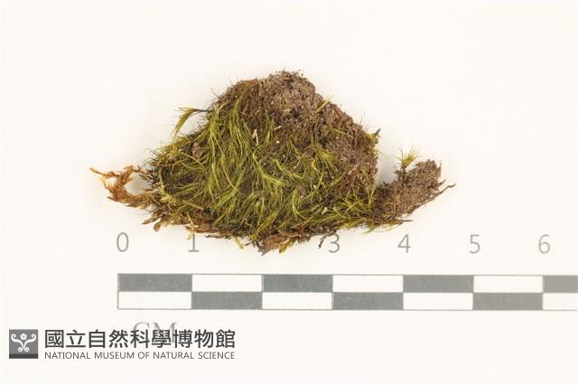 登錄號:B00003287藏品圖，第1張