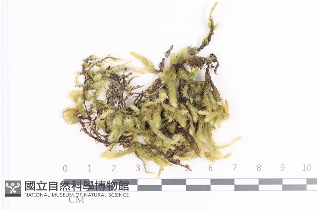登錄號:B00016587藏品圖，第1張