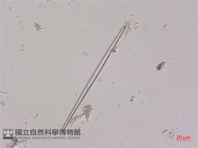 登錄號:A00004487藏品圖，第3張