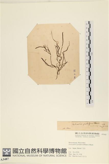 登錄號:A00003487藏品圖，第3張