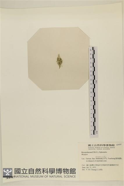 登錄號:A00004987藏品圖，第3張